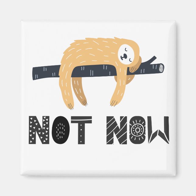 Íman Não incomode a lama (Frente)