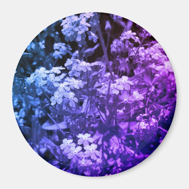 Íman não me esqueça (Frente)