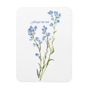 Íman Não me esqueças Flor de Jardim Aquarela Personaliz