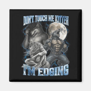 Íman Não Me Toque Gatinho Estou Fazendo Edging Engraçad