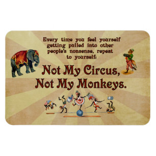Íman Não meus macacos, não meu circo
