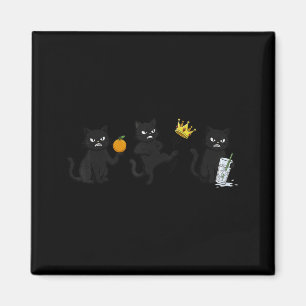 Íman Não Não Reis Não Gelo Gato Preto Engraçado