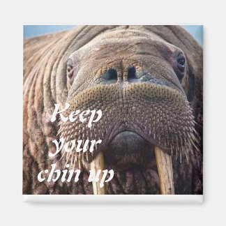 Íman Não obtenha um bom cartão de compaixão: hospital o