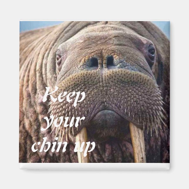 Íman Não obtenha um bom cartão de compaixão: hospital o (Frente)