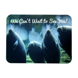 Íman Não podemos esperar para te ver! Manatees