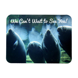 Íman Não podemos esperar para ver você! Caprinos