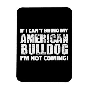 Íman Não posso trazer meu Bulldog americano. Não vou.