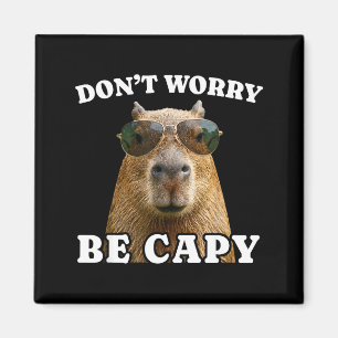 Íman Não se preocupe seja capivara engraçado capivara