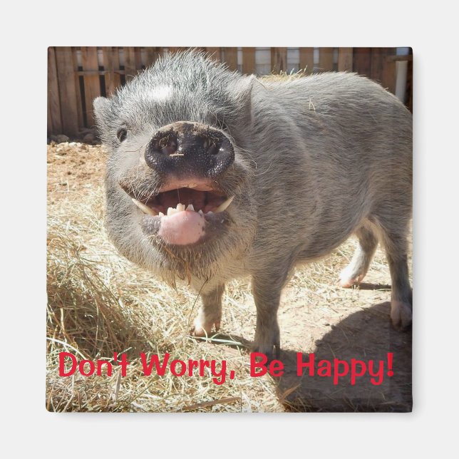 Íman Não se preocupe, seja feliz, Imagem Pig Square (Frente)