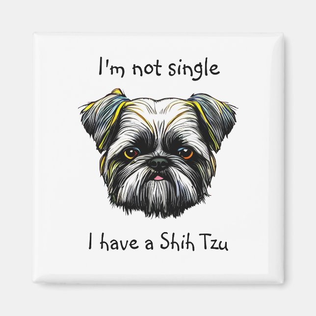 Íman Não Solteiro eu ter um Shih Tzu (Frente)