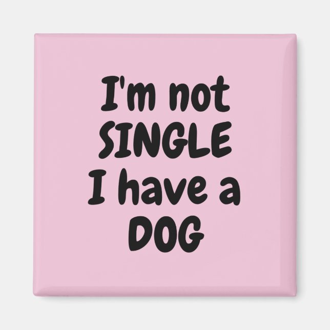 Íman Não sou Solteiro Magnet Quadrado (Frente)