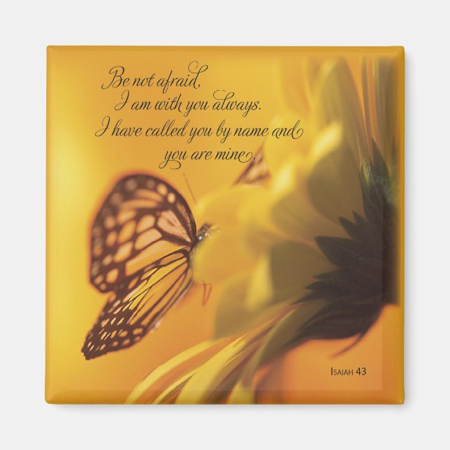 Íman Não tenha medo de borboleta religiosa na margarida (Frente)