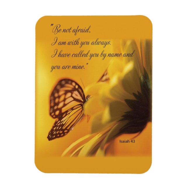 Íman Não tenha medo de borboleta religiosa na margarida (Vertical)