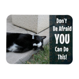 Íman Não Tenha Medo De Dizer Motivação De Gato