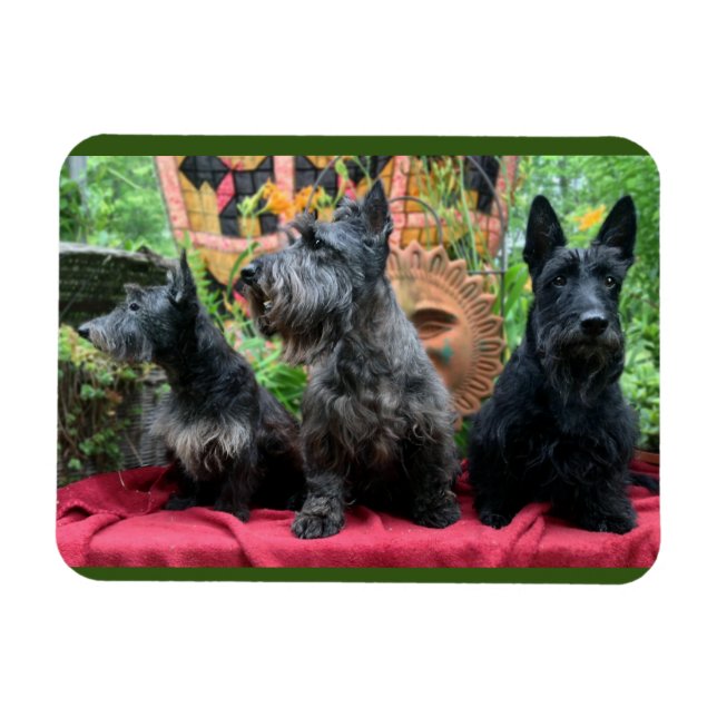 Íman Não Vou Olhar (Horizontal)