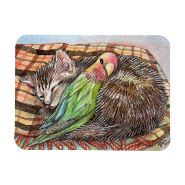 Íman Napping Buddy (Horizontal)