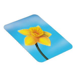 Íman Narciso Amarelo Brilhante