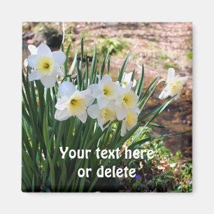 Íman Narcisos Por Córrego Flor Personalizado