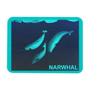 Íman Narwhal