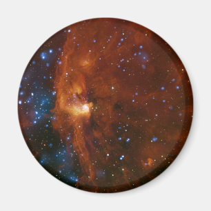 Íman NASA estelar do nascimento RCW 108 da estrela