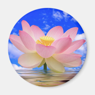Íman Nascer da flor de Lotus na água