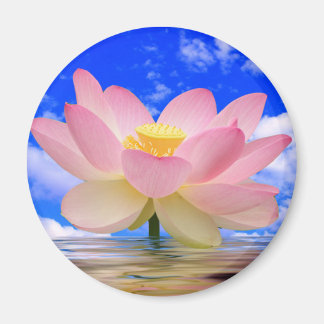 Íman Nascer de Flor de Lotus na Água
