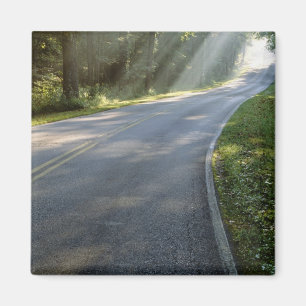 Íman Nascer do sol através do nevoeiro ao lado do Rio 