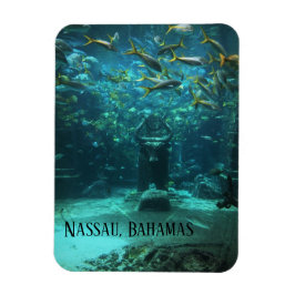 Íman Nassau, Bahamas Atlantis