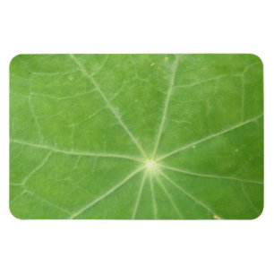 Íman Nasturtium Leaf Premium Magnet