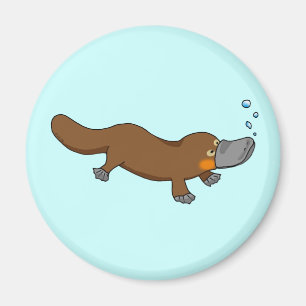 Íman Natação bonito platypus pato-faturado