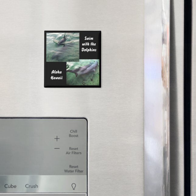 Íman Natação com golfinhos no Havaí (In Situ (Fridge))