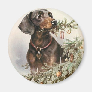 Íman Natais vintages Dachshund Dog