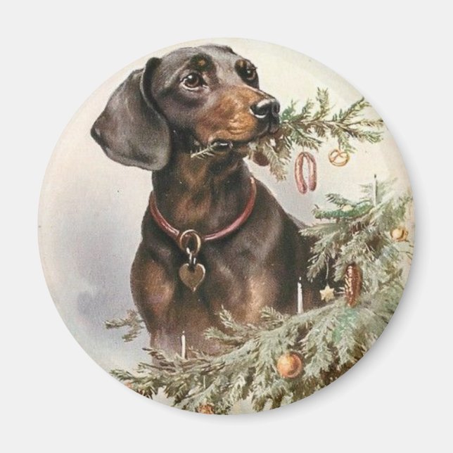 Íman Natais vintages Dachshund Dog (Frente)