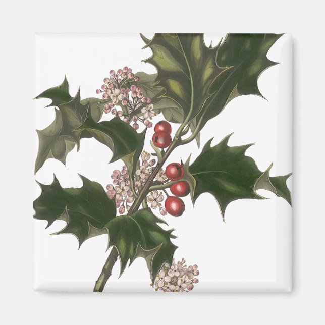 Íman Natal Antigo, Planta de Azevim Verde com Frutas (Frente)