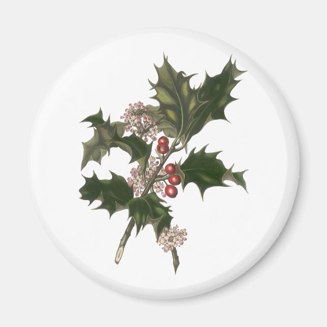 Íman Natal Antigo, Planta de Azevinho Verde com Frutas (Frente)