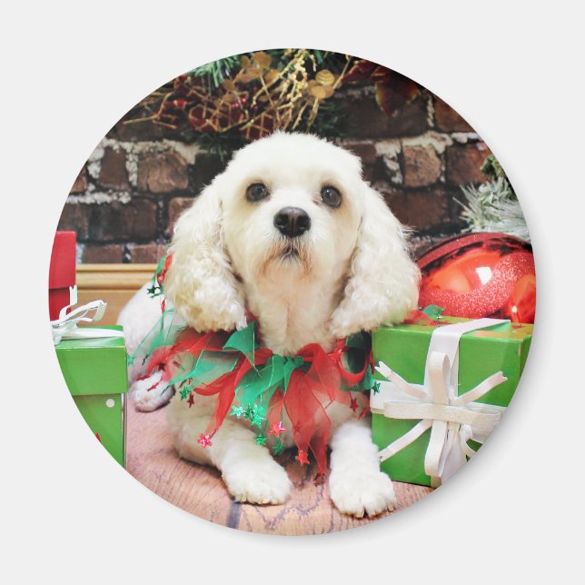 Íman Natal - Bichon Frise X - Maya (Frente)