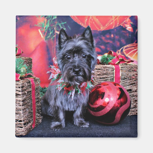 Íman Natal - Cairn Terrier - Joel (Frente)