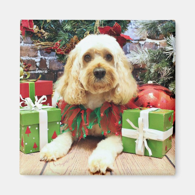 Íman Natal - Cockapoo - Buddy (Frente)