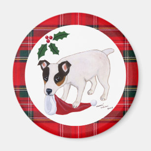 Íman Natal de Jack Russell Terrier