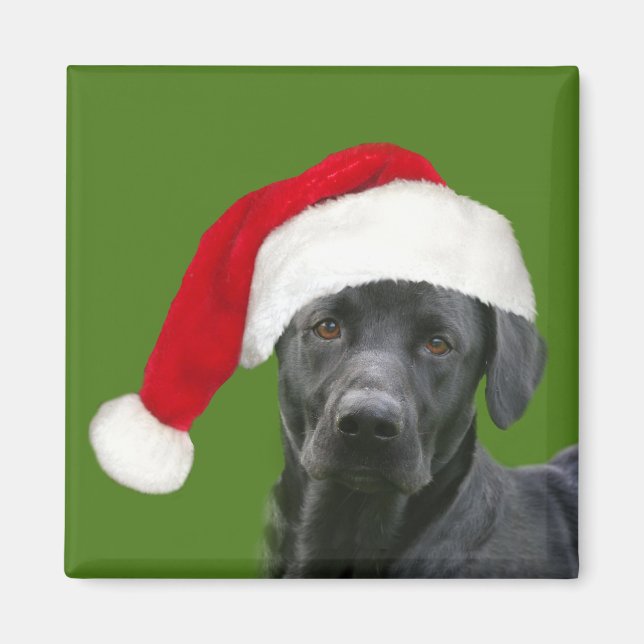 Íman Natal de laboratório negro (Frente)