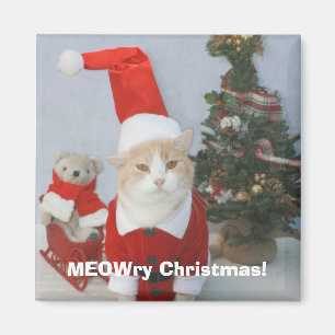 Íman Natal de MEOWry!