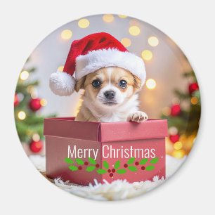 Íman Natal do Cachorro Chihuahua Filhote
