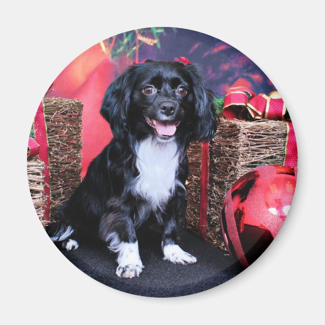 Íman Natal - Docker - Gigi (Frente)