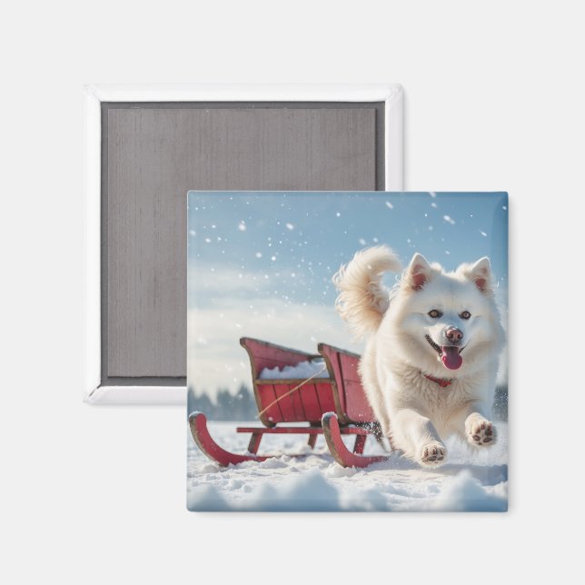 Íman Natal Festivo Samoyed (Front/Back)