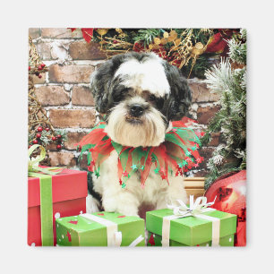 Íman Natal - Lhasa Apso - Parker