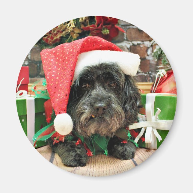 Íman Natal - Lhasa Apso - Pixie (Frente)