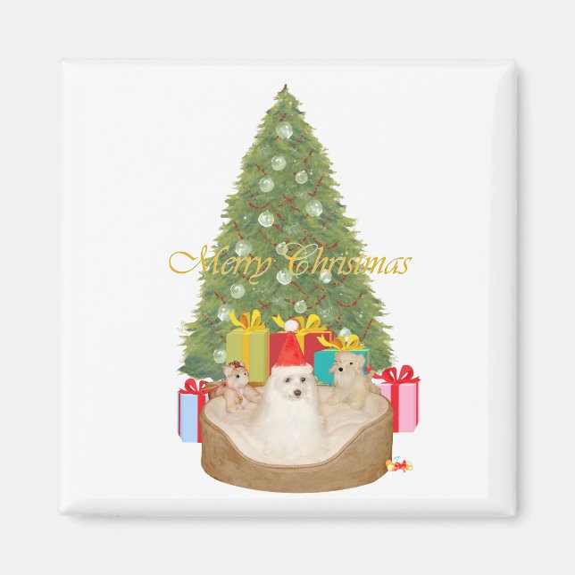 Íman Natal Maltês (Frente)
