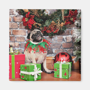 Íman Natal - Pug - lírio Lou