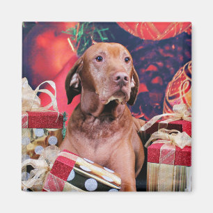 Íman Natal - Vizsla - Budda