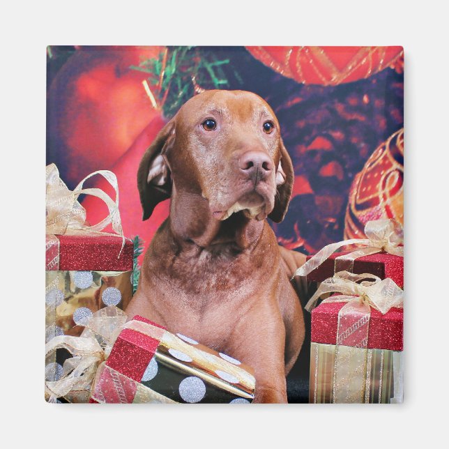 Íman Natal - Vizsla - Budda (Frente)
